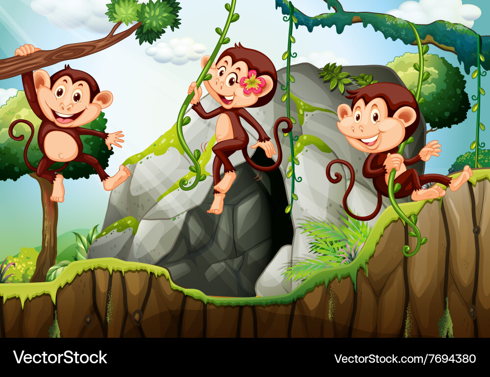 Three Monkeys in a Tree vector image