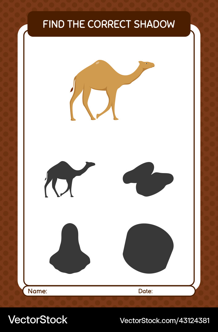 Find the correct shadows game with camel Find the correct shadows game with camel vector image