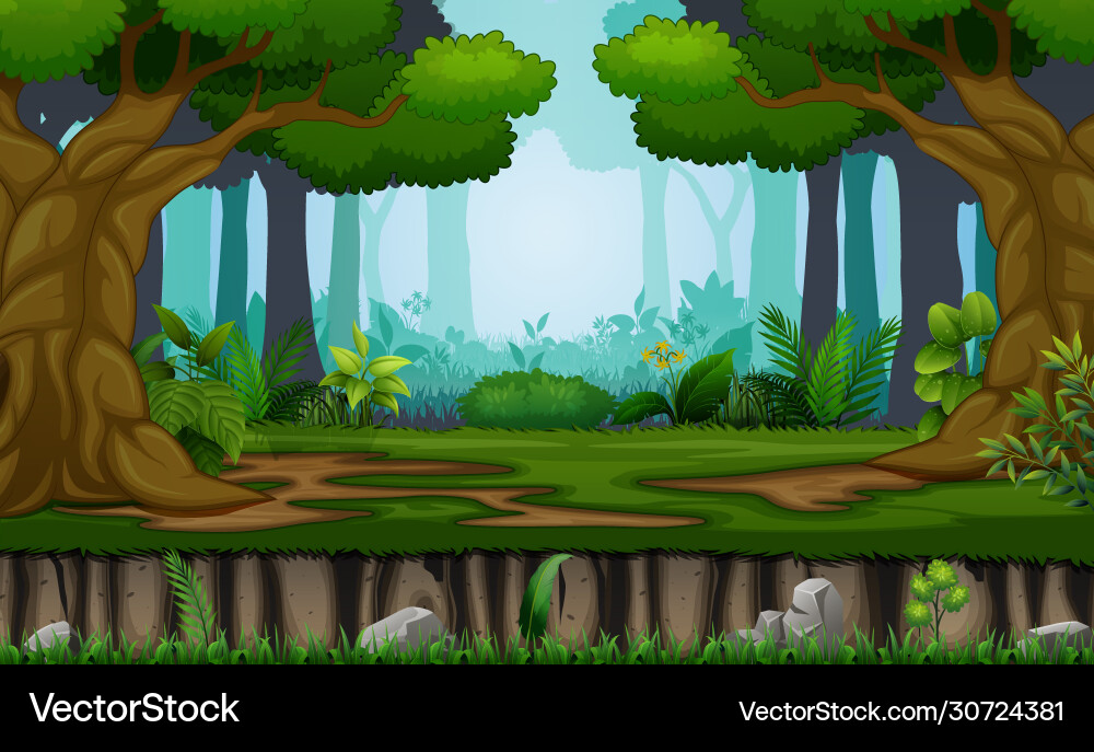 Many trees on forest background Vector Image