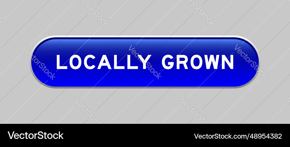 Blue color capsule shape button with word locally Blue color capsule shape button with word locally vector image