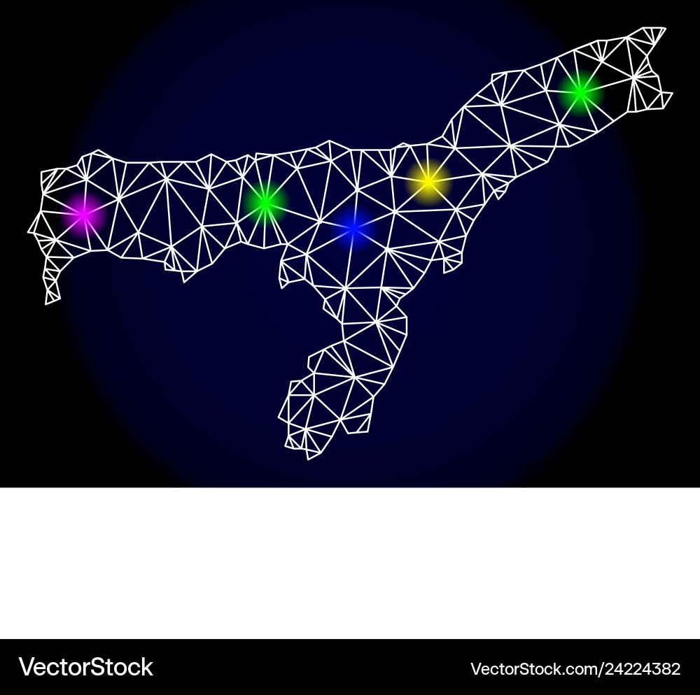Polygonal 2d mesh map of assam state with colorful Polygonal 2d mesh map of assam state with colorful Vector Image