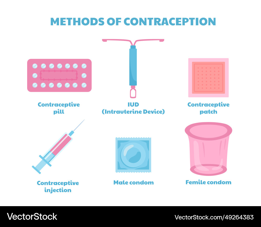 Contraception Methods Overview vector image