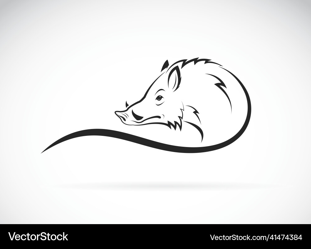 Boar head design on white background Boar head design on white background vector image