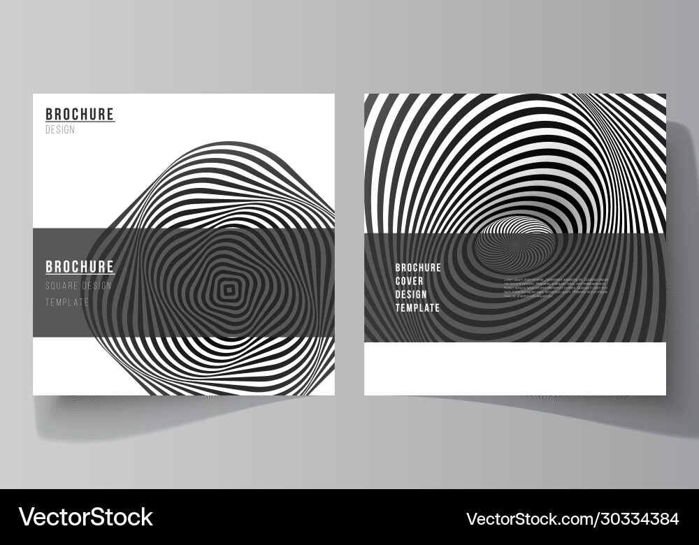 Minimal layout two square format Minimal layout two square format vector image