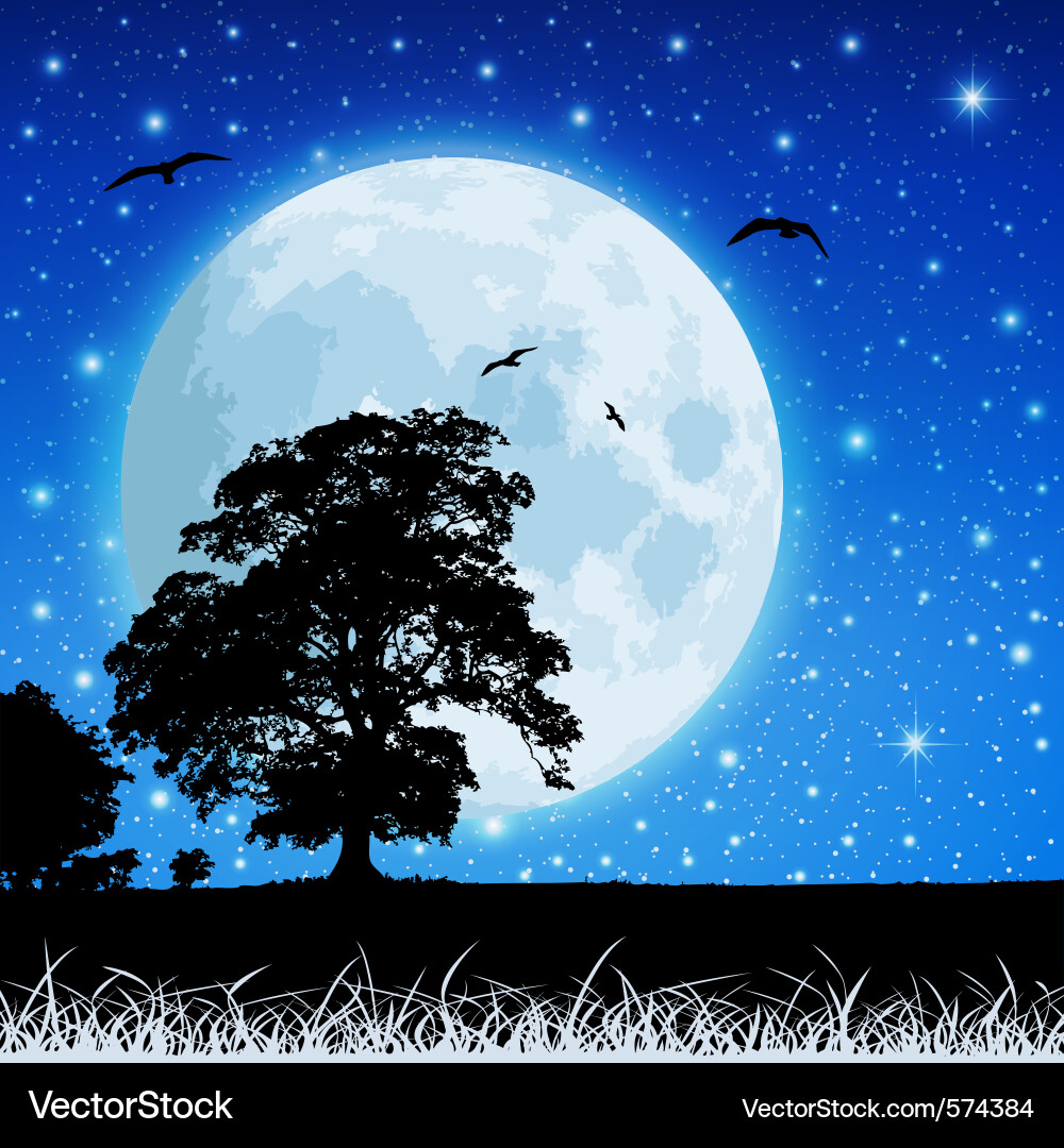 Night Meadow Silhouette vector image