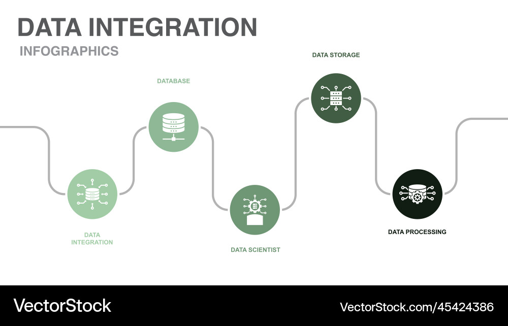 Data Science & Database Infographic vector image