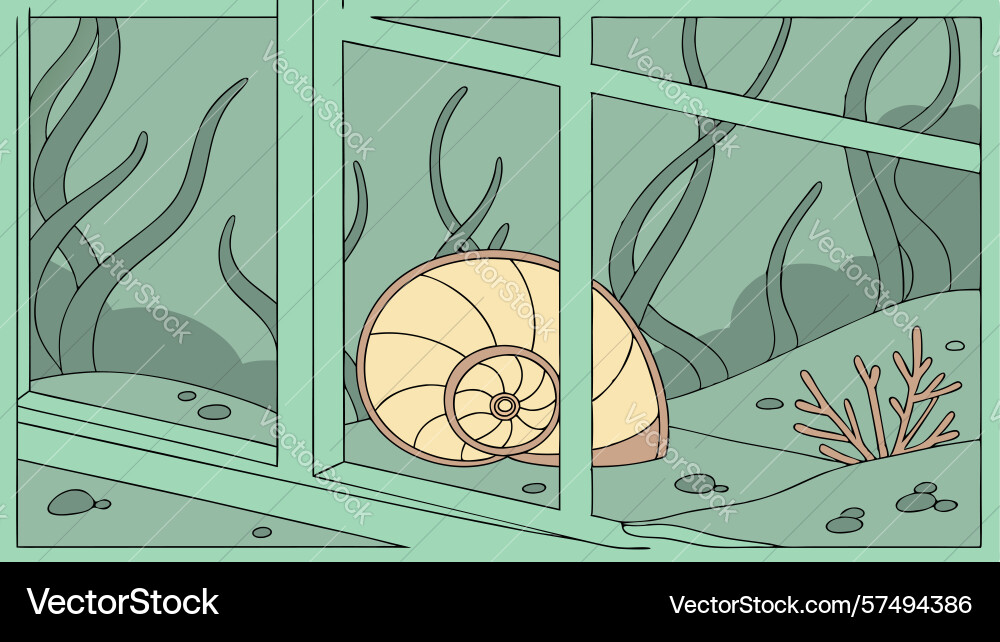 Nautilus shell inside window frame art design vector image