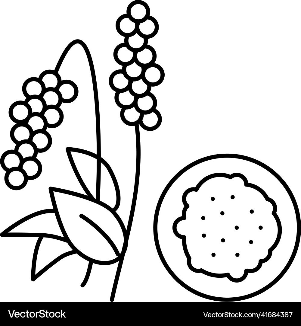 Amaranth Groats Line Icon vector image