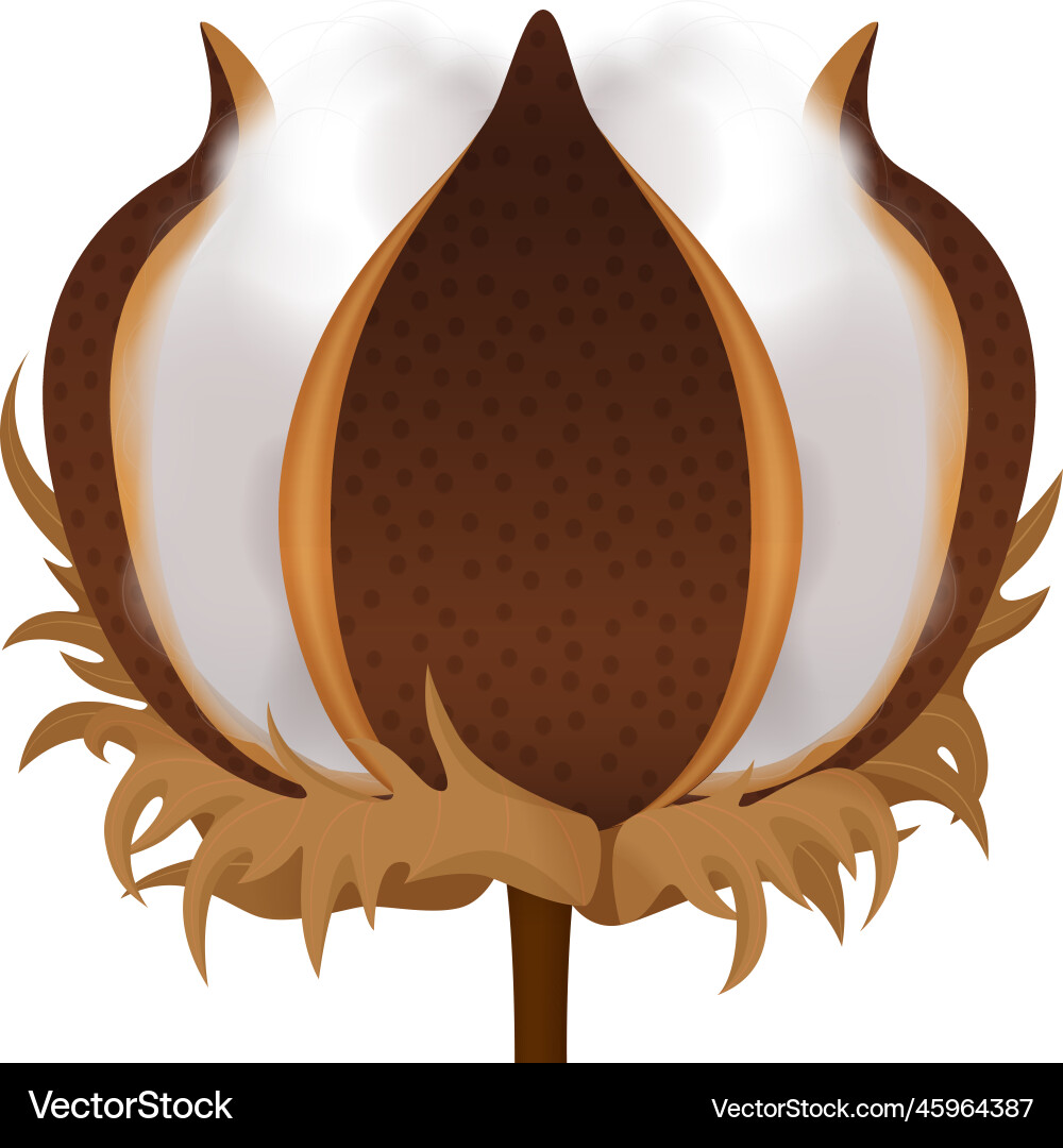 Cotton bud realistic composition Royalty Free Vector Image