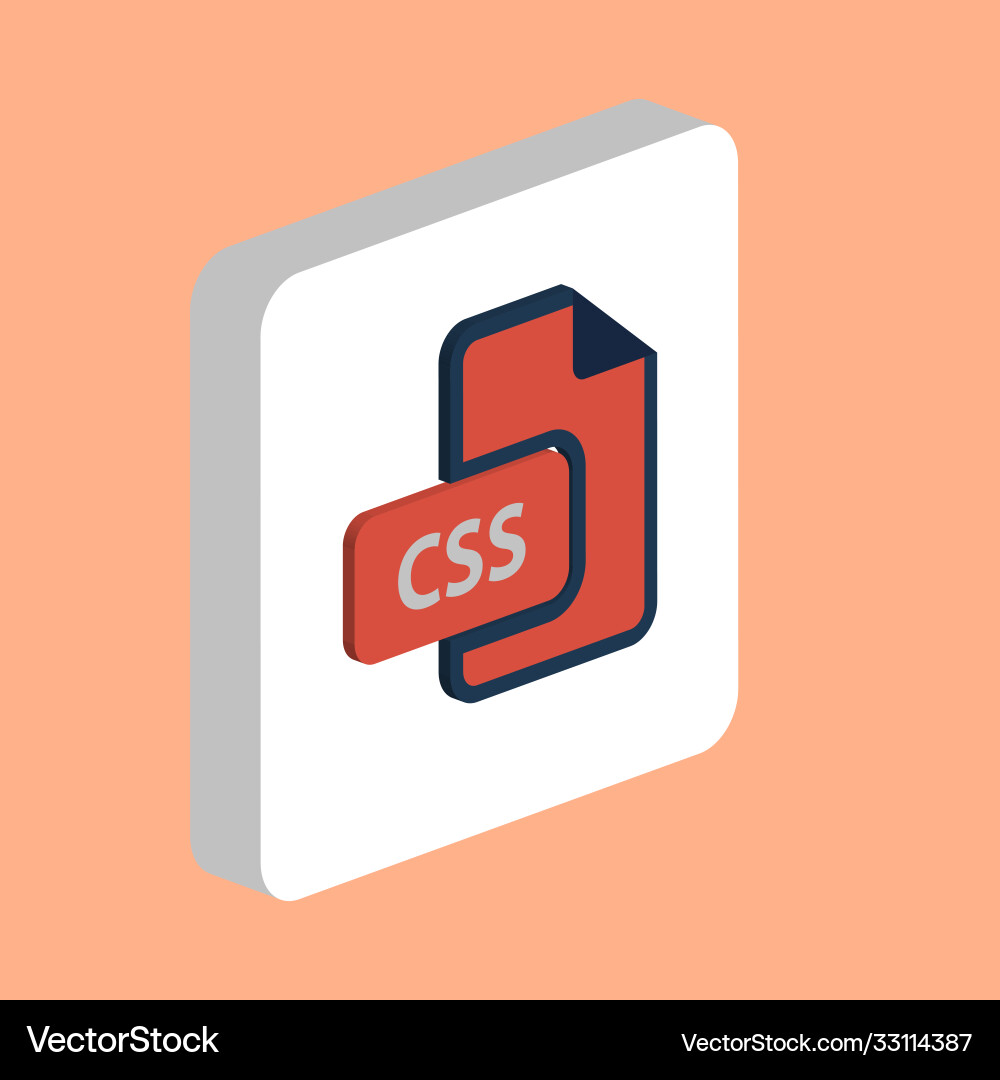 Css computer symbol Css computer symbol vector image