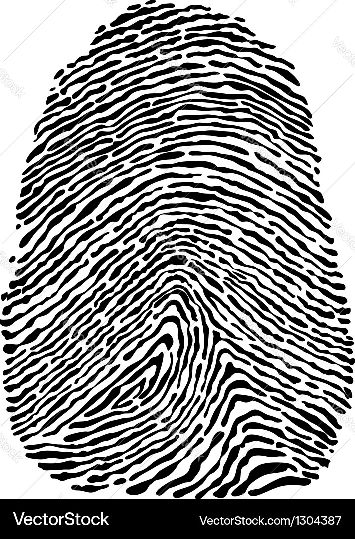 Fingerprint Pattern - Security Concept vector image