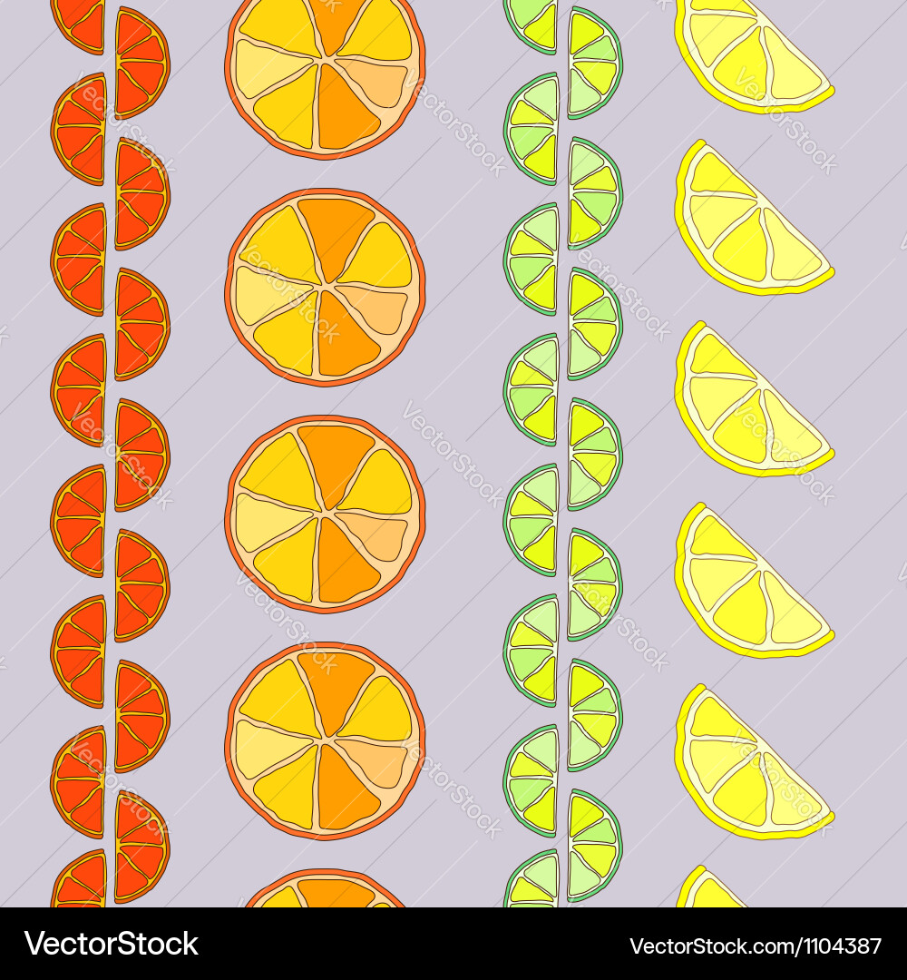 Rows of citrus seamless pattern vector image