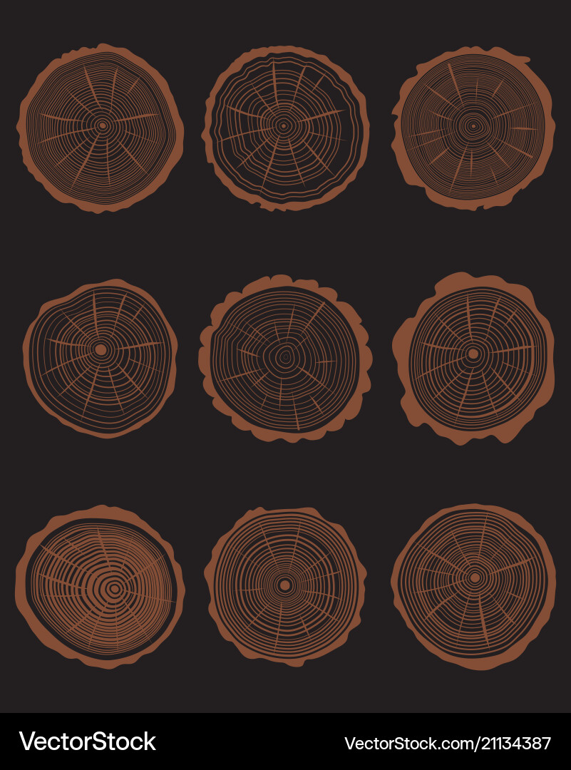 Tree Ring Cross Sections vector image
