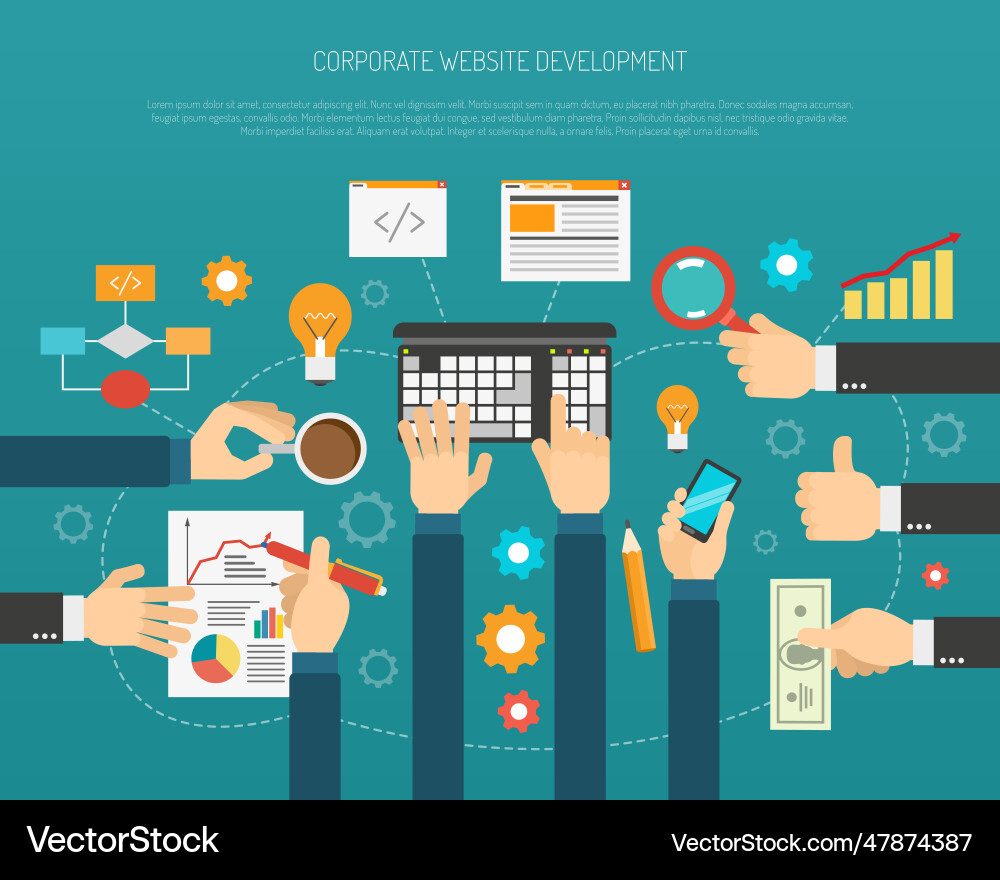 Website development process vector image