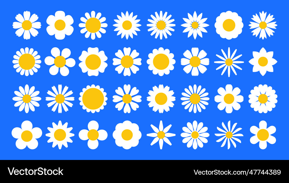 Daisy Blume Kamille flache Ikone Cartoon weiß Daisy Blume Kamille flache Ikone Cartoon weiß vektorbild