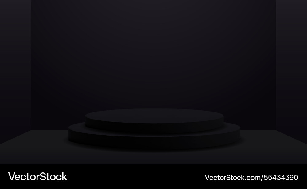 Black studio with empty product showcase Black studio with empty product showcase vector image