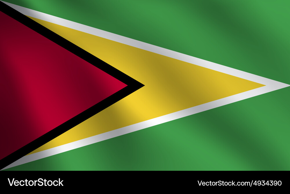 Guyana flag Vector Image