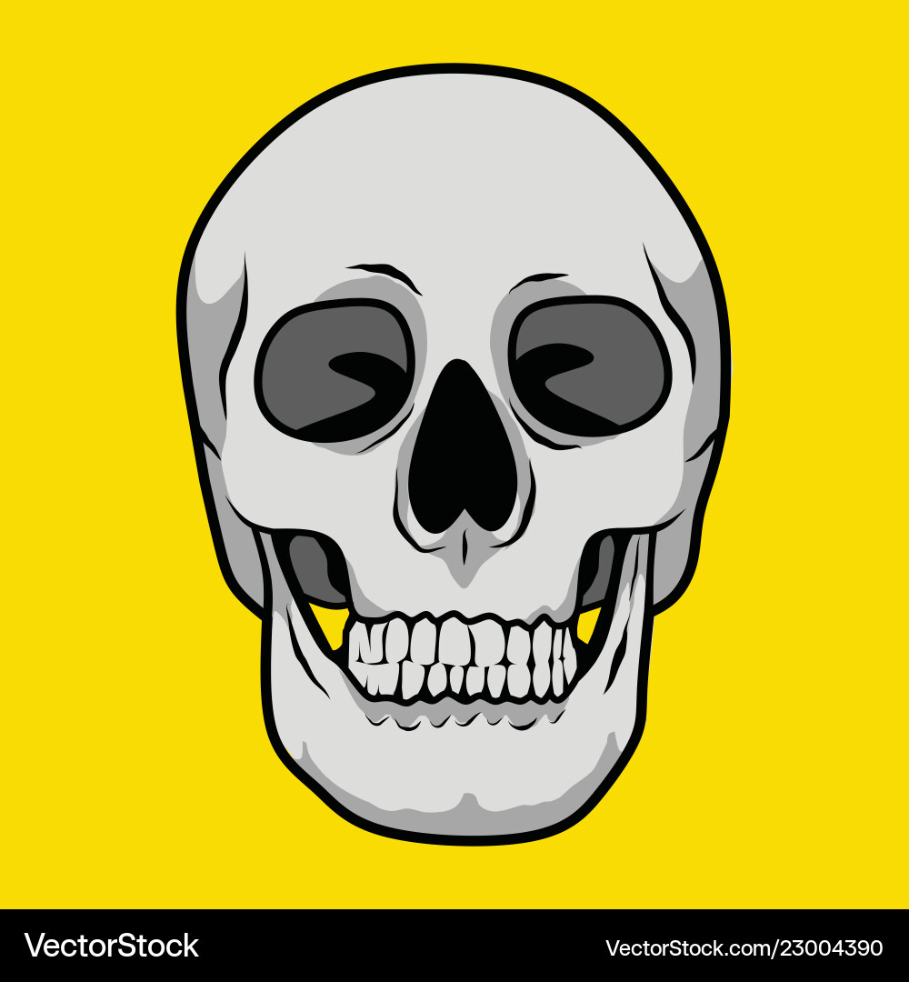 Skull is bald for poster or graphic your goods Skull is bald for poster or graphic your goods vector image