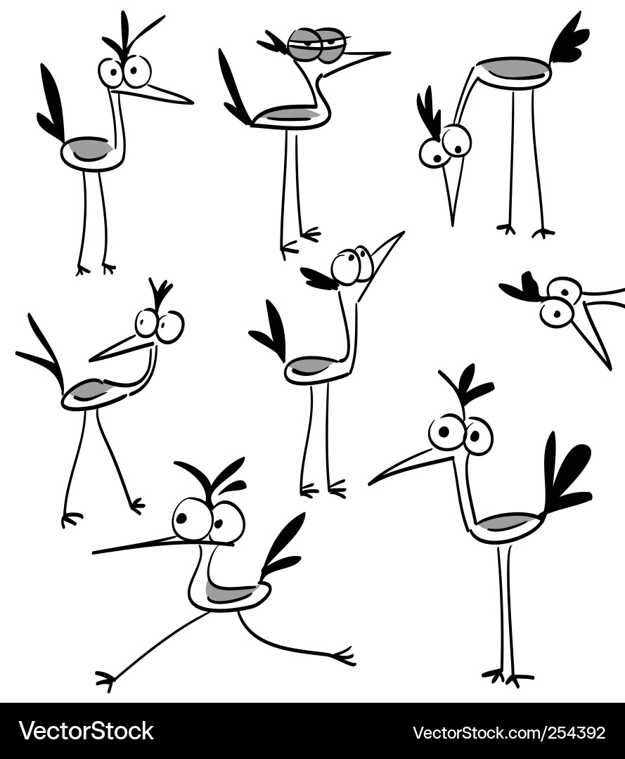 Funny Bird Characters Vector Image
