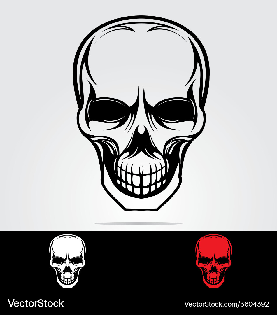 Tribal Skull Art Vector Image