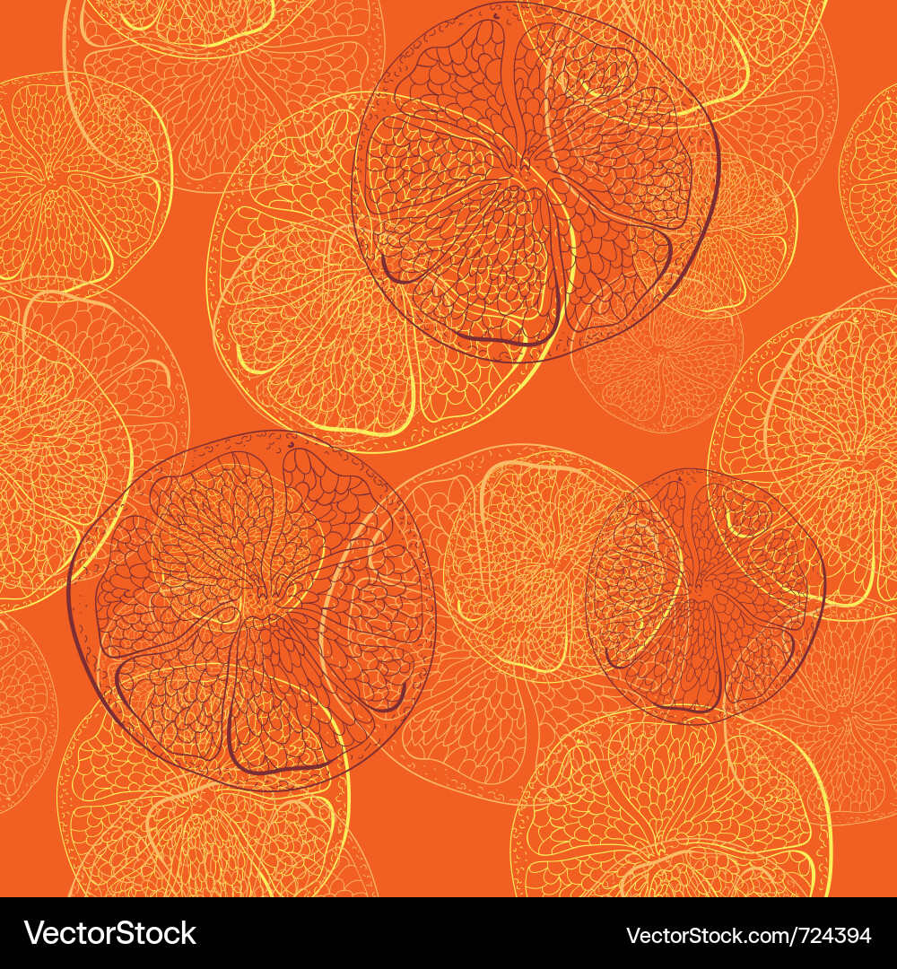 Citrus Seamless Pattern - Oranges & Lemons vector image