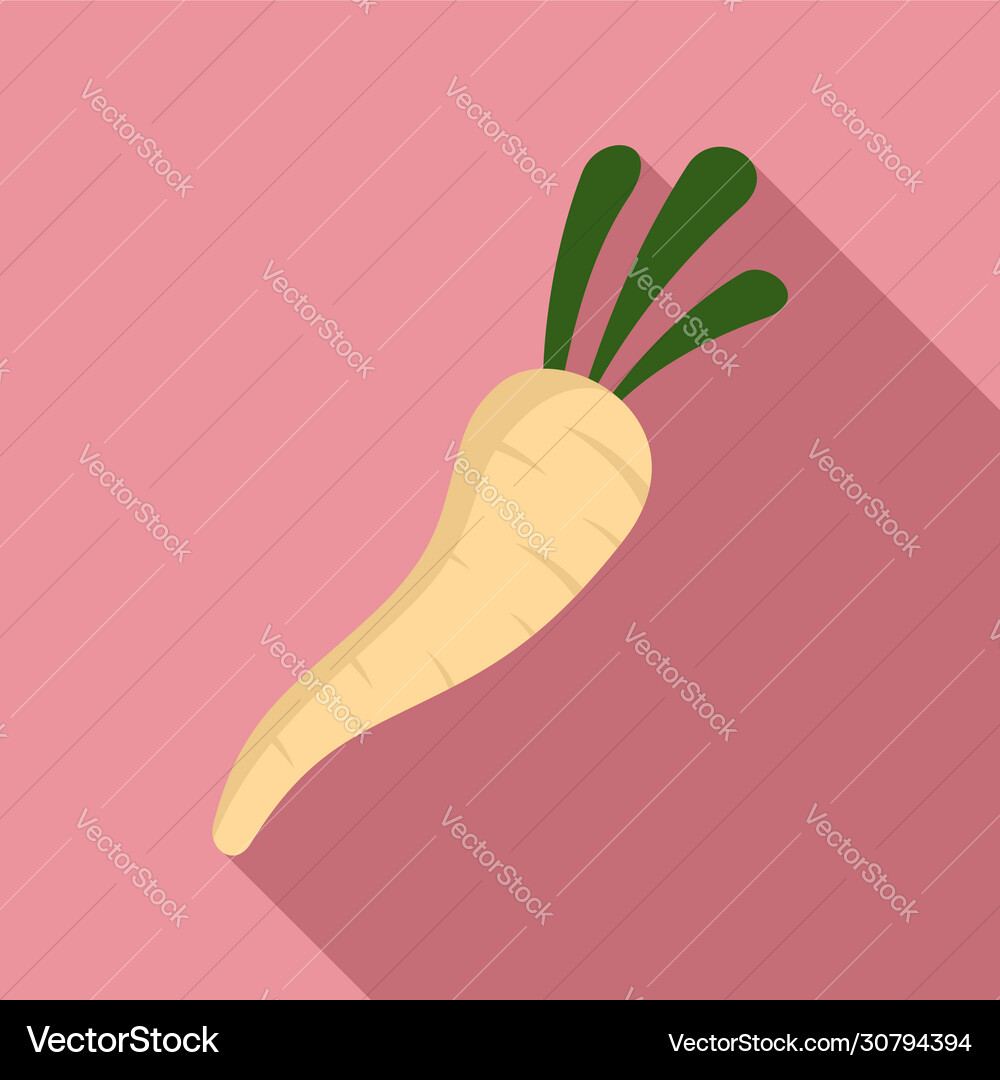 Culinary parsnip icon flat style vector image