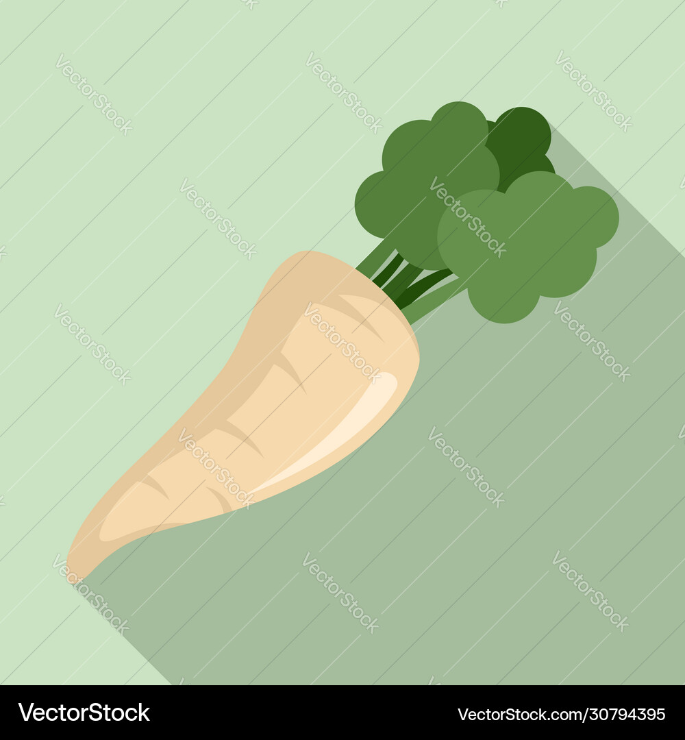 Fresh parsnip icon flat style Fresh parsnip icon flat style vector image