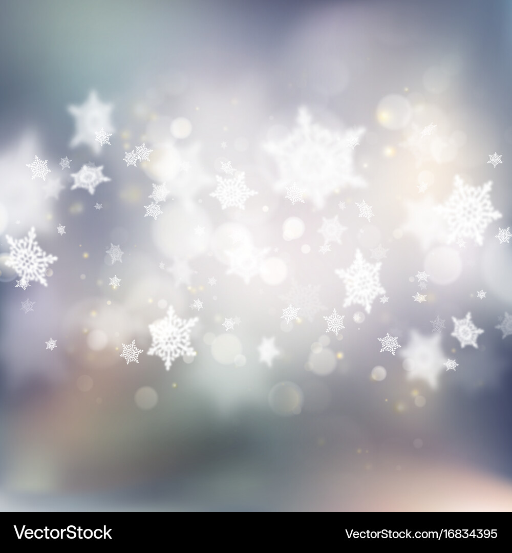 Winter Bokeh Snowflake Background vector image