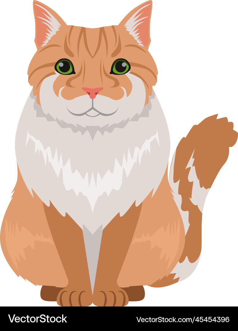 Norwegische Waldkatze Ikone flauschig Ingwer Haustier Norwegische Waldkatze Ikone flauschig Ingwer Haustier vektorbild