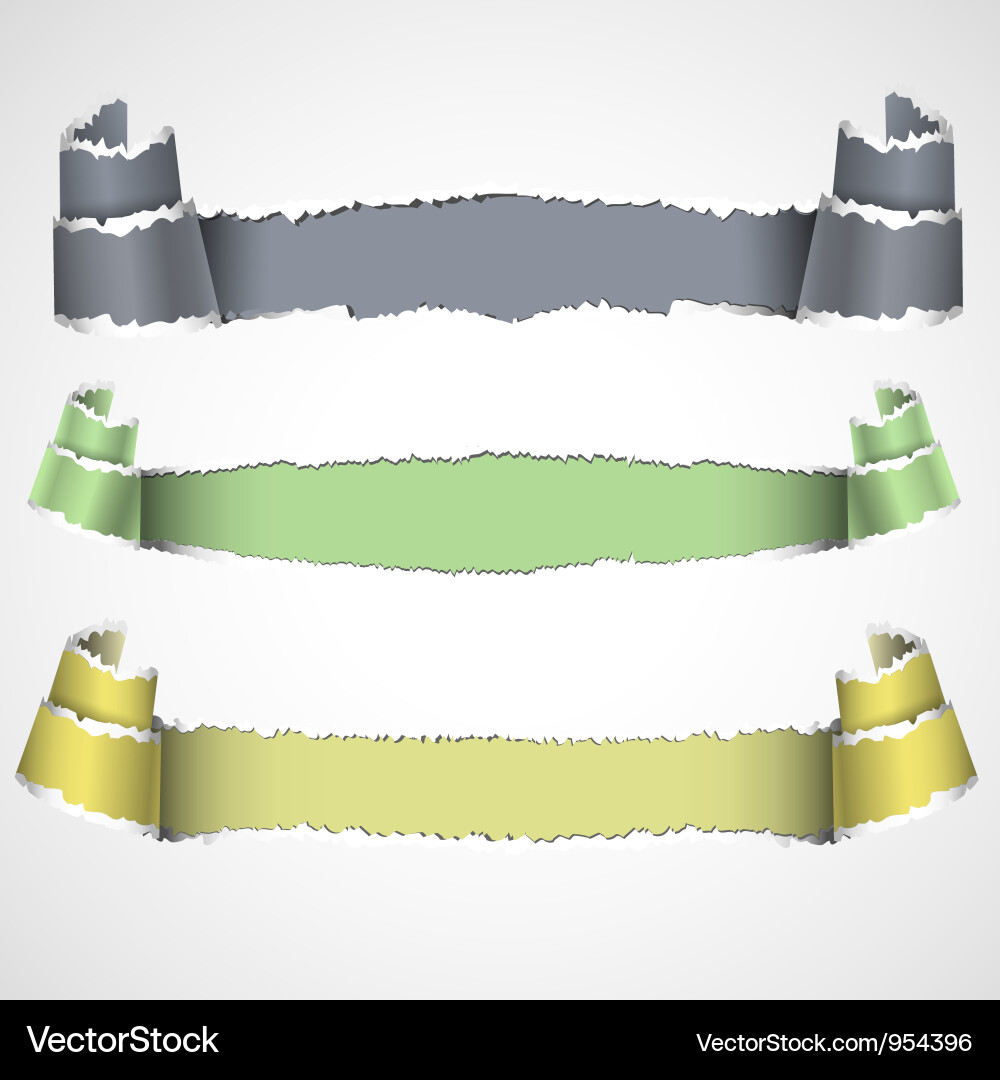 Three torn paper banners Vector Image