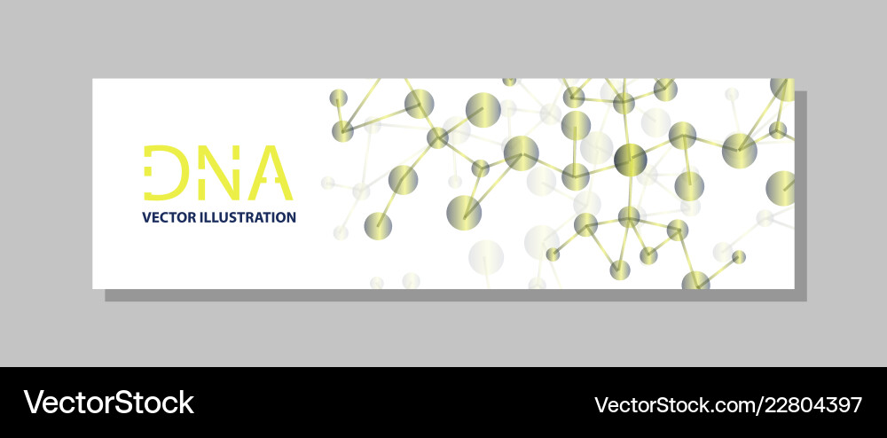 Molecular structure with connected lines and dots Molecular structure with connected lines and dots Vector Image