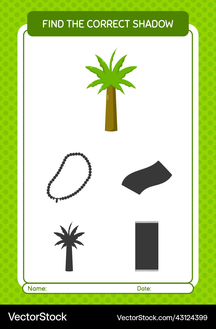 Find the correct shadows game with palm tree Find the correct shadows game with palm tree vector image