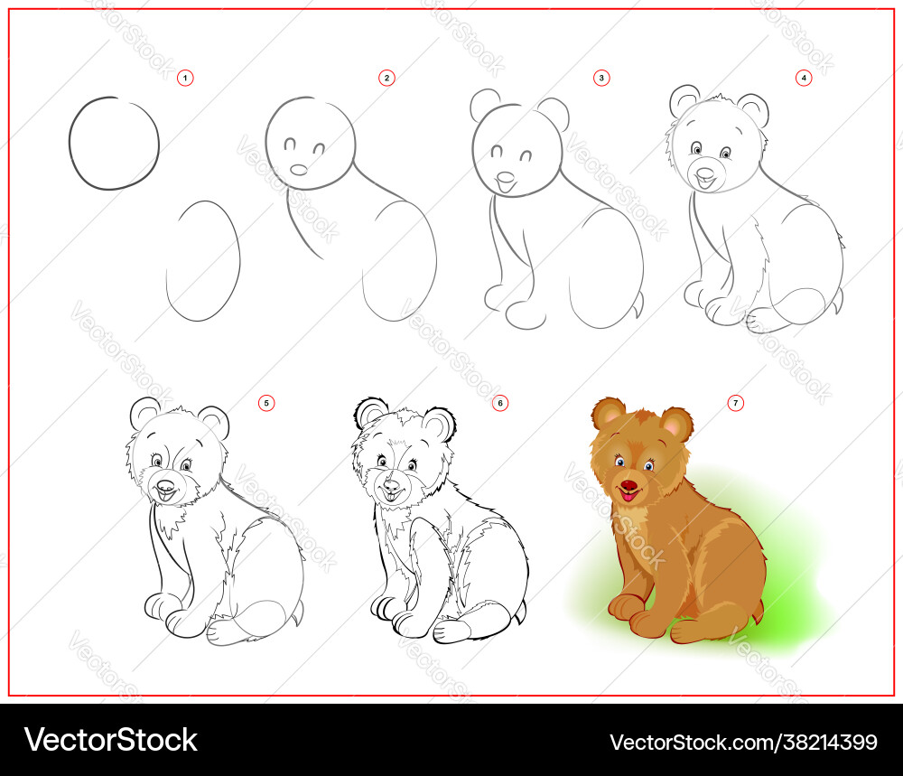 How to learn draw little bear educational page Vector Image