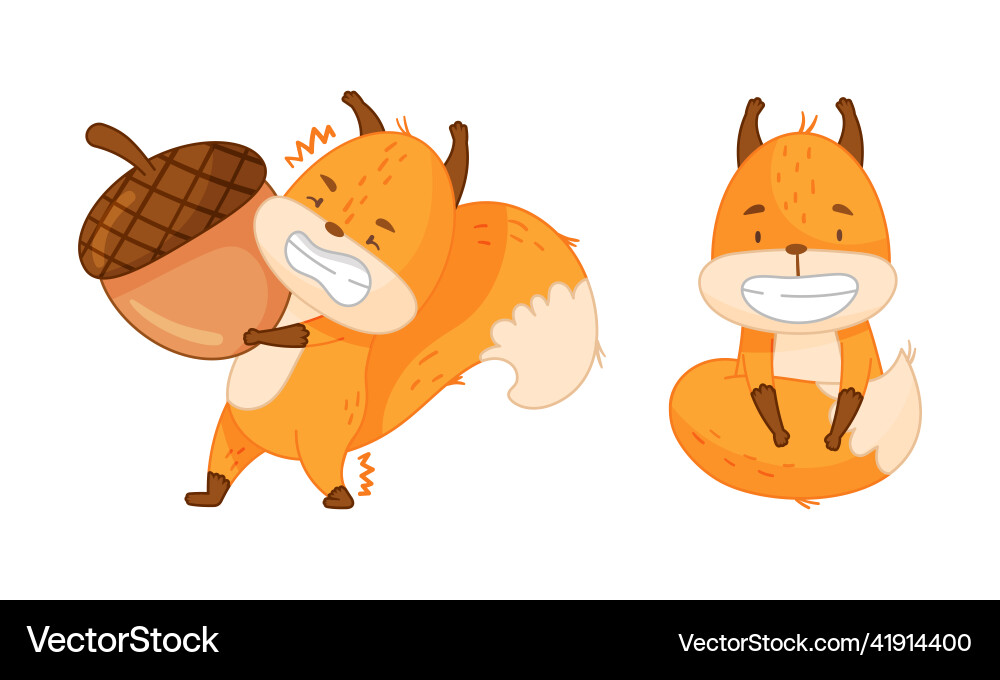 Cute red squirrel in different actions set funny Cute red squirrel in different actions set funny vector image