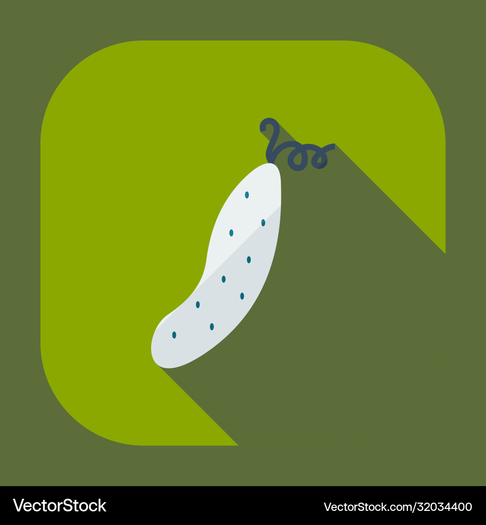 Flat modern design with shadow icons cucumber Flat modern design with shadow icons cucumber vector image