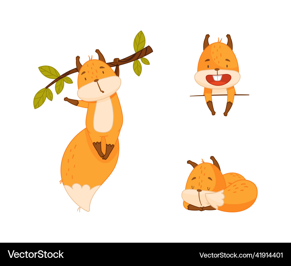 Cute funny red squirrel in different actions set Cute funny red squirrel in different actions set vector image