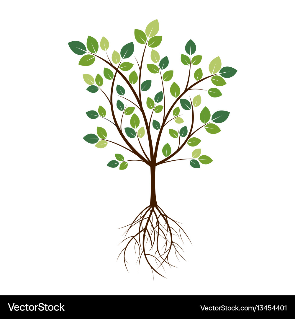 Tree with Roots vector image