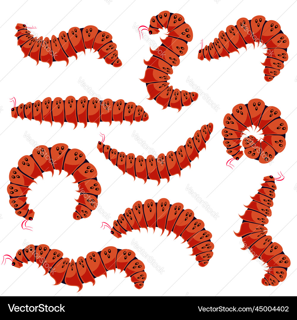 Red cartoon caterpillars isolated on white Red cartoon caterpillars isolated on white vector image