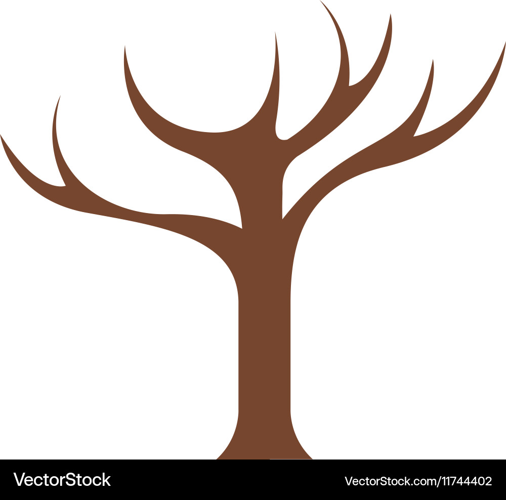 Tree Trunk with Branches - Close-Up vector image