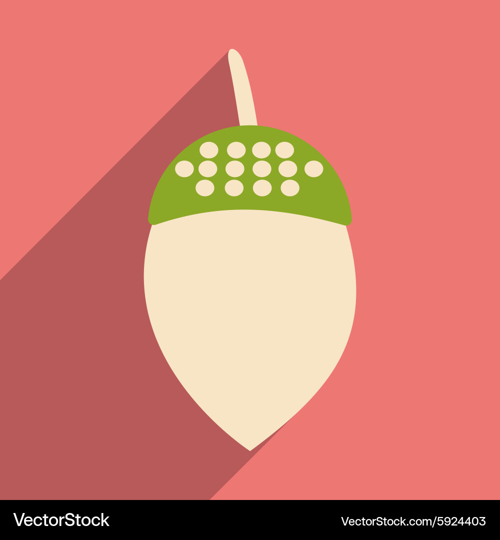 Flat with shadow icon and mobile application acorn Vector Image