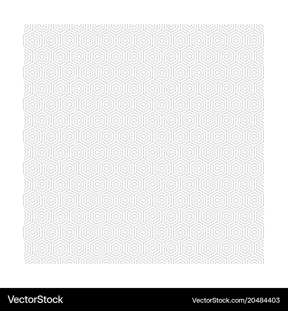 Gray Hexagon Pattern vector image