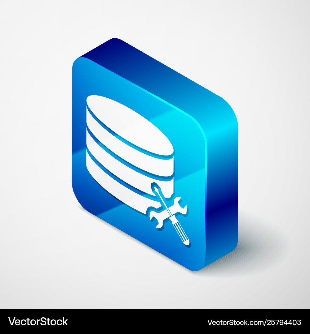Isometric database server with screwdriver Vector Image
