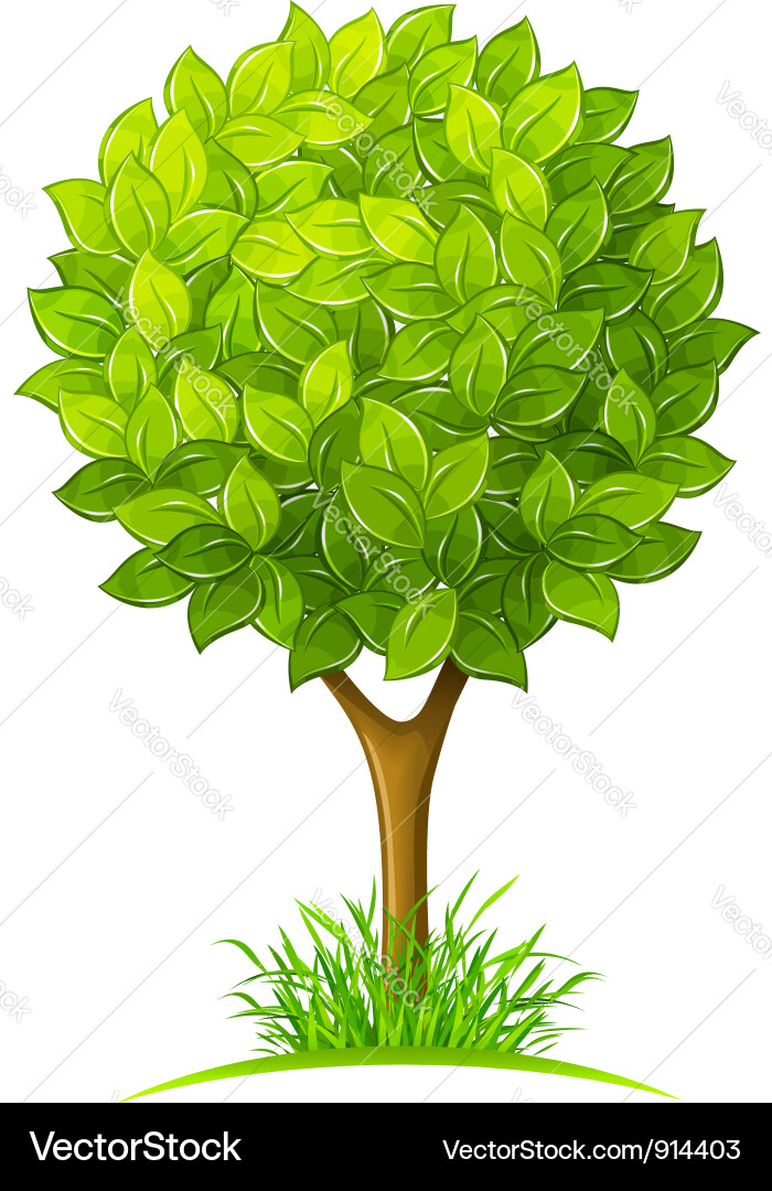 Tree with green leaves Royalty Free Vector Image