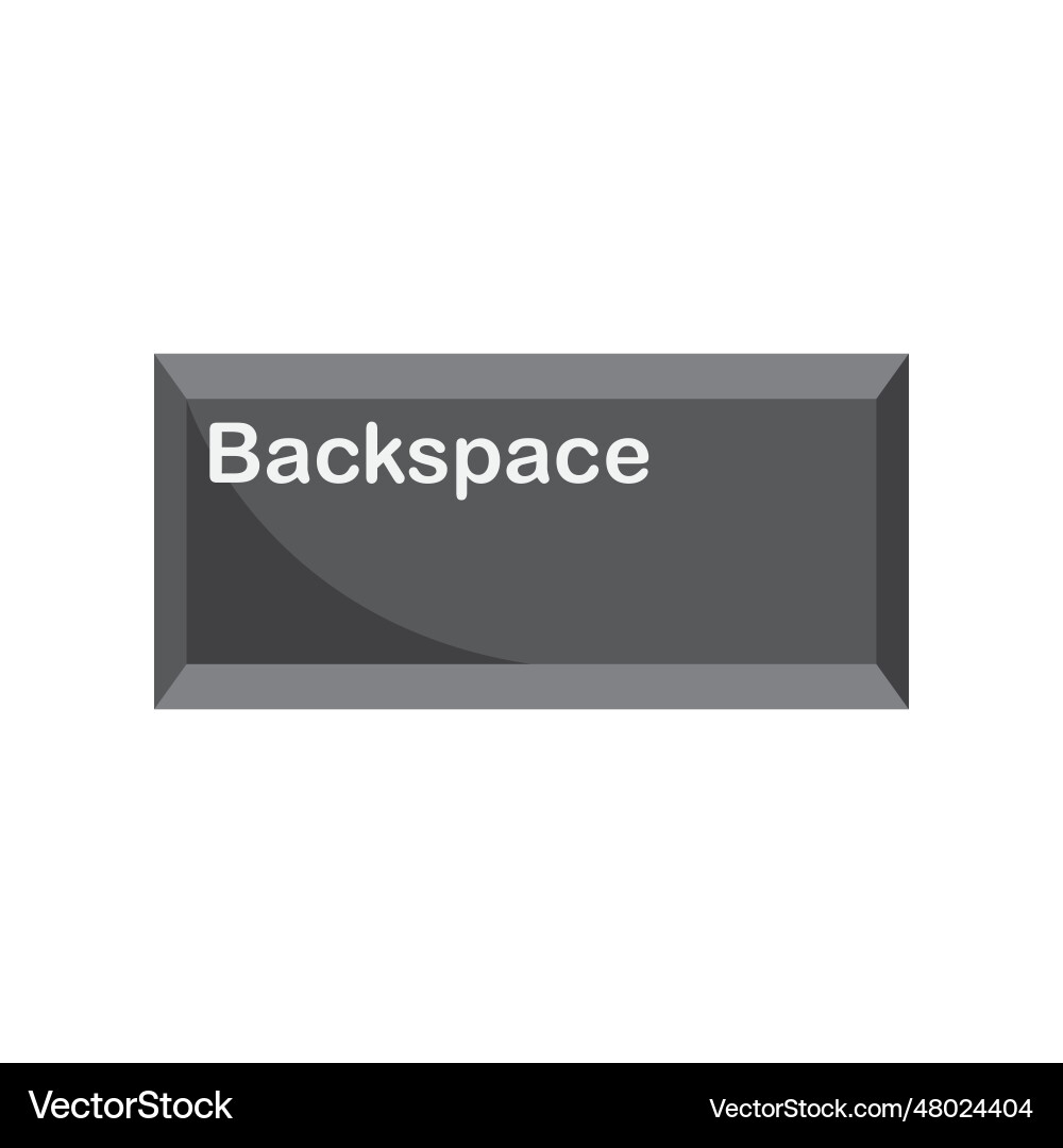 Backspace button icon Backspace button icon vector image