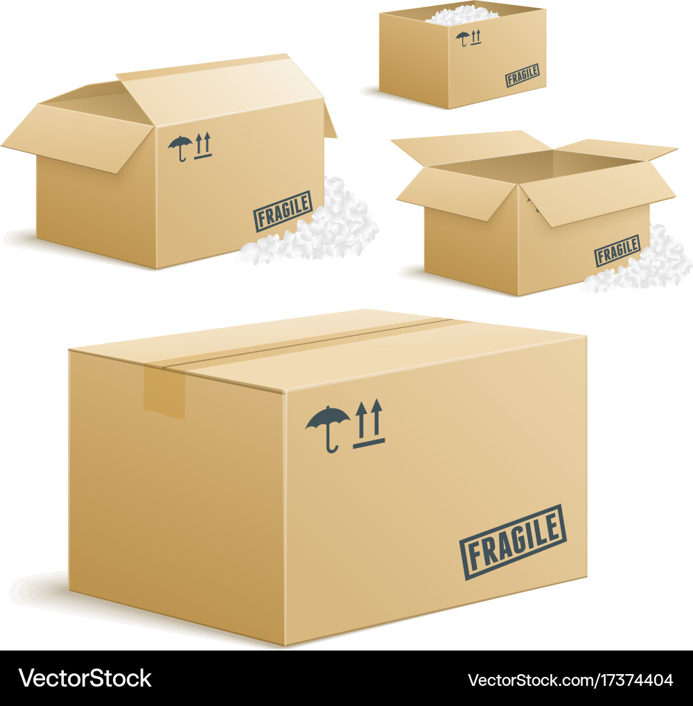 Fragile Cardboard Boxes with Peanuts vector image