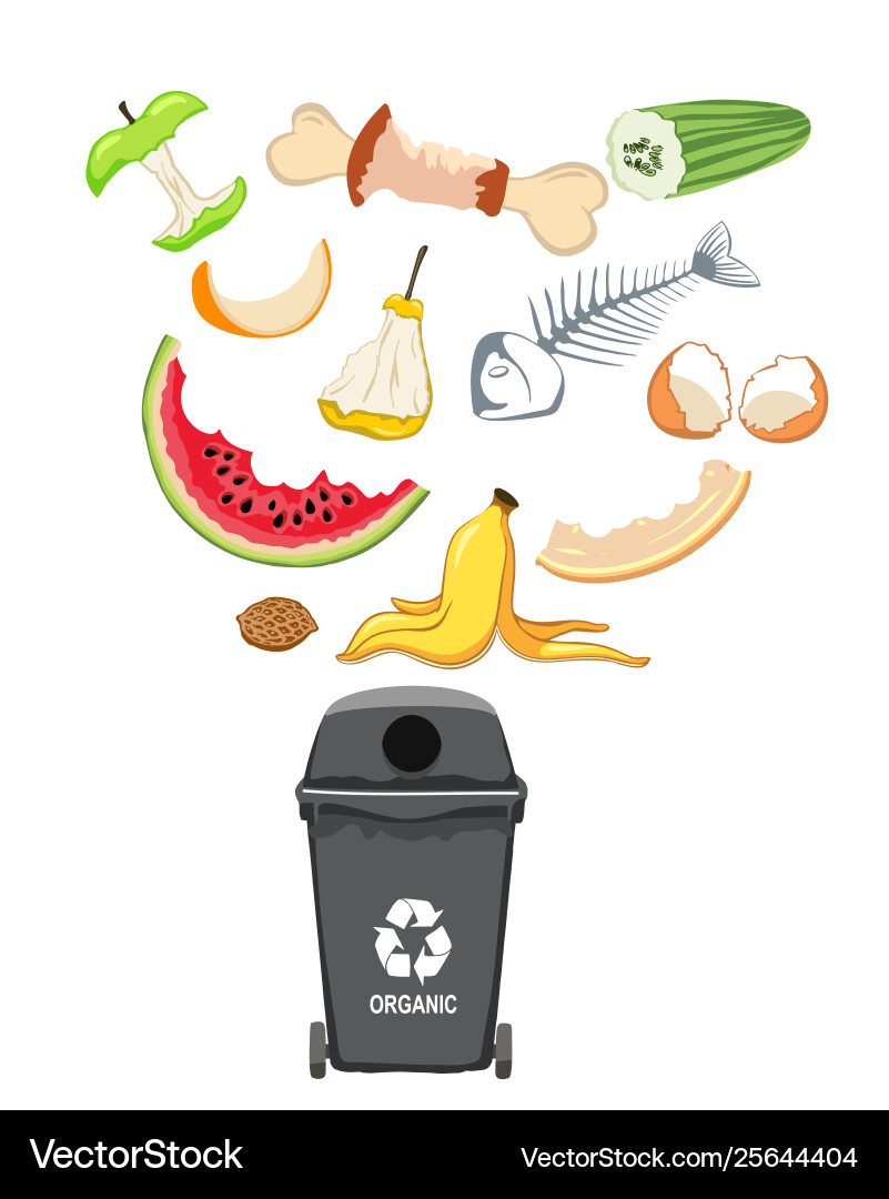 Garbage can with organic elements Garbage can with organic elements vector image