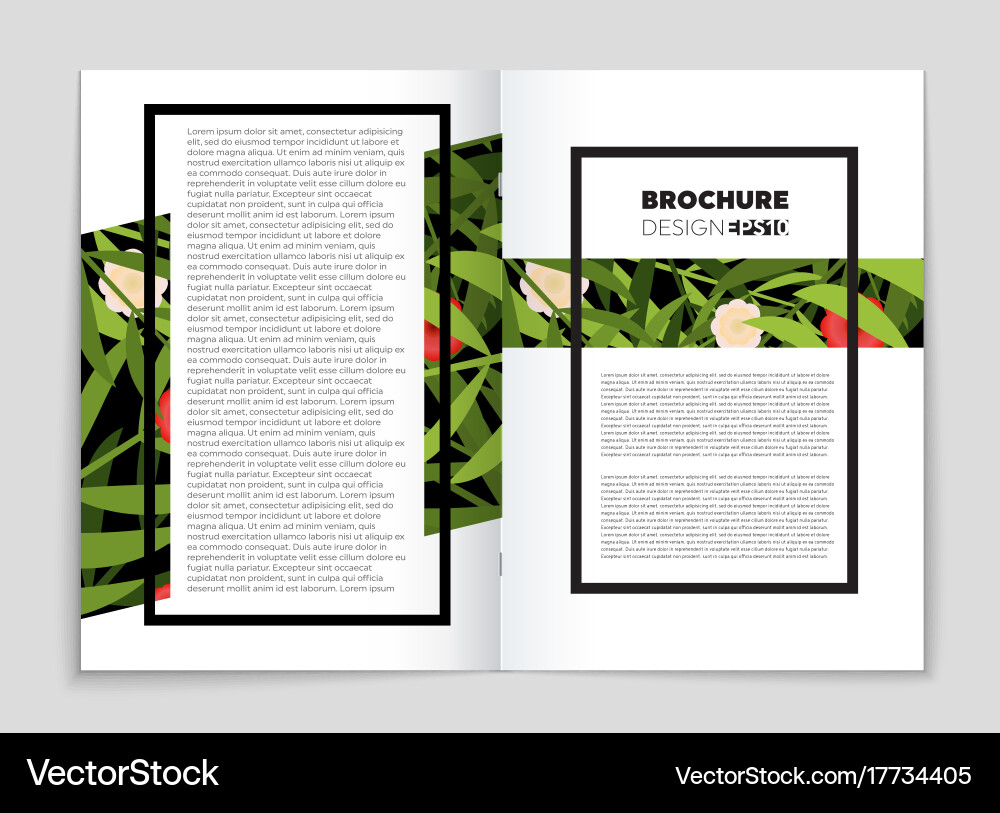 Abstract layout background set for art vector image