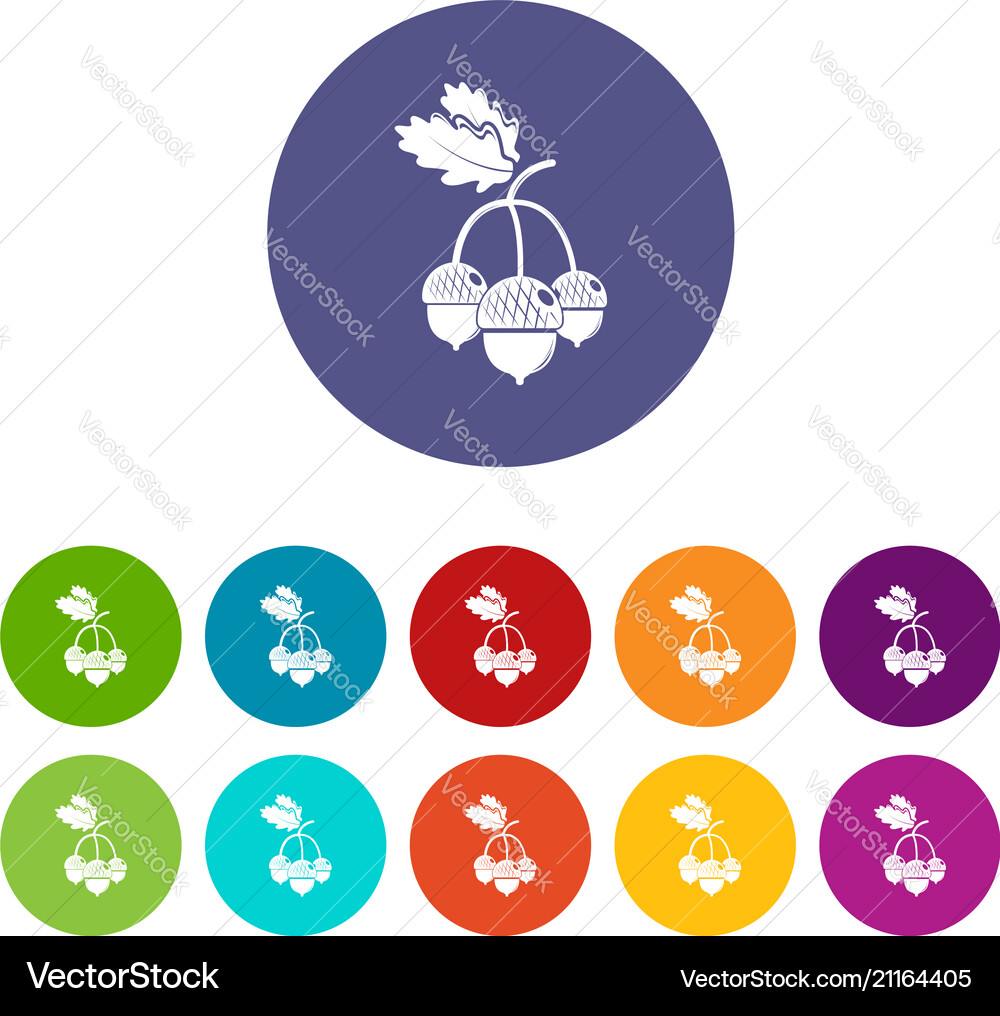Acorn icons set color Acorn icons set color Vector Image