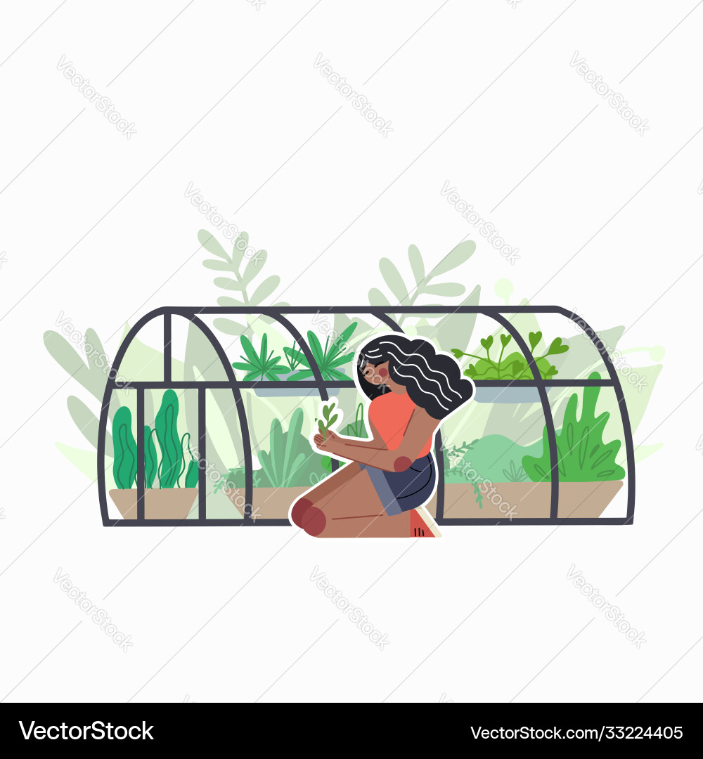 African girl care for home greenhouse with various African girl care for home greenhouse with various vector image