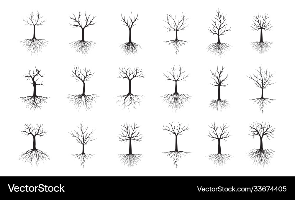 Set black trees with roots outline Set black trees with roots outline vector image